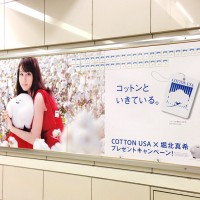 COTTON USAのやつゲットしてきました。